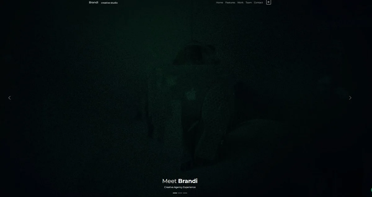 Brandi creative studio website